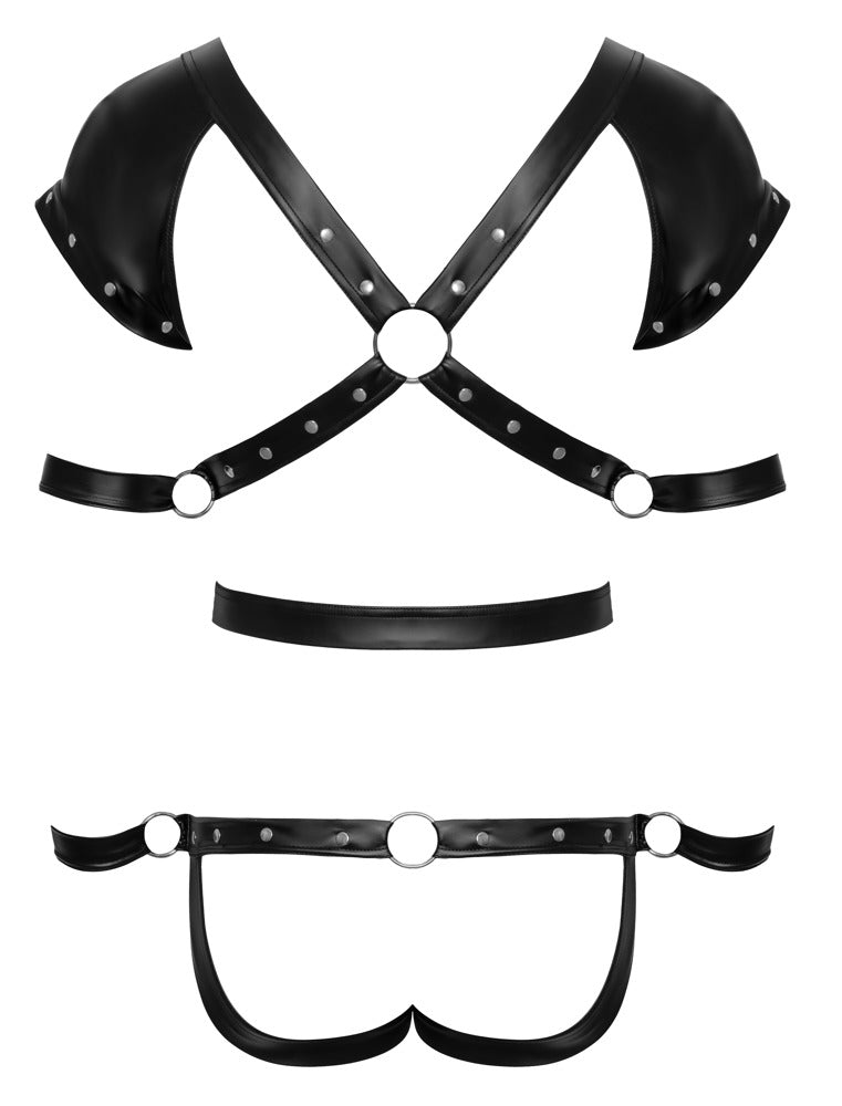 Harnais bondage pour homme Svenjoyment Bondage