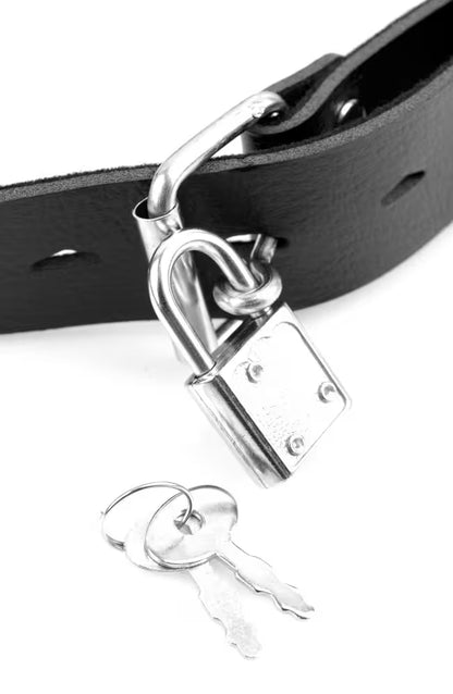 Bâillon-boule avec gode