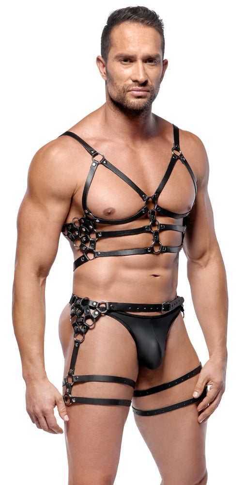 Ensemble de harnais en cuir ZADO M/L