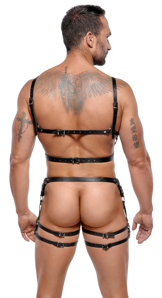 Ensemble de harnais en cuir ZADO M/L