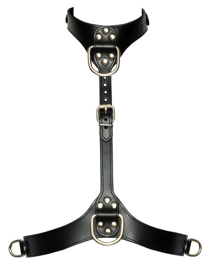 Harnais de poitrine S-L Bad Kitty