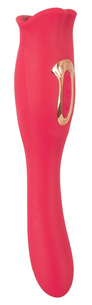 Vibromasseur Oral Fun réversible de You2Toys
