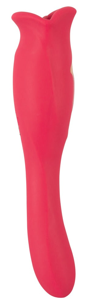Vibromasseur Oral Fun réversible de You2Toys